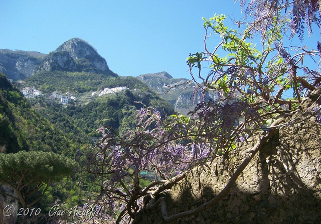 [Ciao Amalfi Coast Blog Spring Blossoms5[7].jpg]