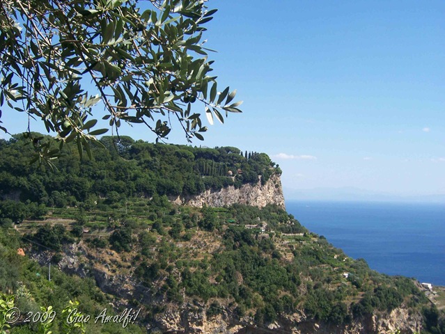 [Ciao Amalfi Coast Blog Ravello Olives[9].jpg]
