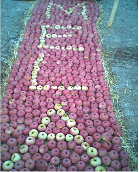 [mele mela[3].gif]