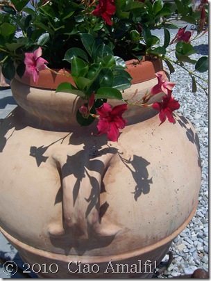 Ciao Amalfi Coast Blog Nerano Beach Flowers Ciao Amalfi Coast Blog Nerano Beach Flowers