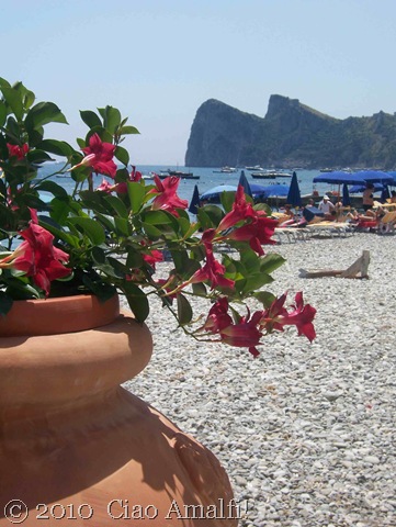 [Ciao Amalfi Coast Blog Nerano Flowers[10].jpg]