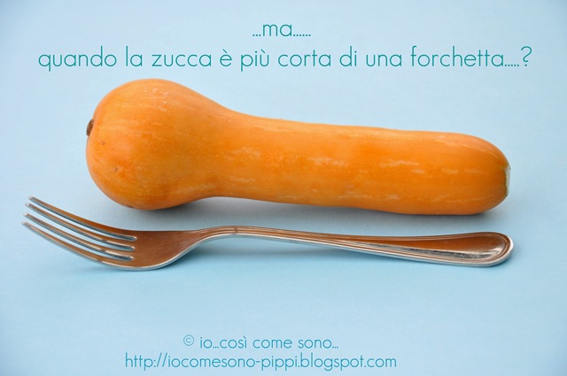 [zucca3.jpg]
