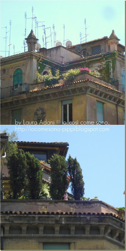 Collage balconi di trastevere