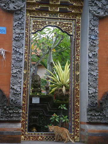 [IMGP39332.jpg]