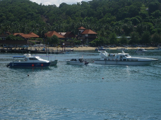 [IMGP39592.jpg]