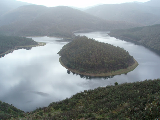 P3200044.JPG