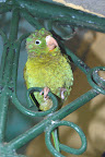 Nicaragua Photos