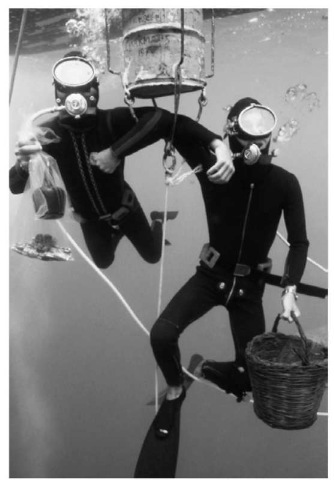 The divers pictured here have ascended from a sunken ship and have stopped at the 10-ft (3-meter) decompression level to avoid getting decompression sickness, better known as the "bends." 