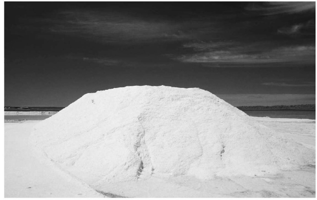 Salt, like the mound shown here, is a safe and common substance that contains chlorine. 