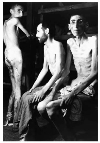 Starving prisoners of a Nazi concentration camp, one frightening example of the attempt to use genetics as a form of social control. Nazi Germany practiced mass murder of Jews and others who were deemed to have "undesirable" traits. 