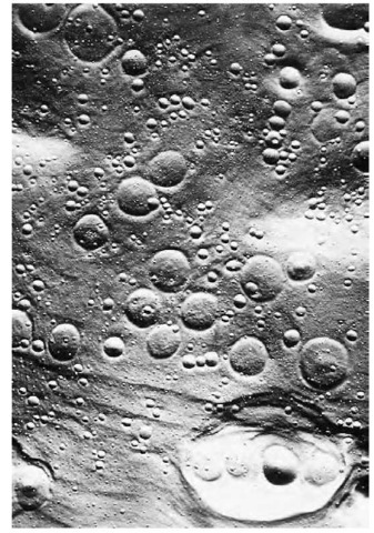 The Moon's surface is pockmarked with craters, showing its vulnerability to damage caused by particles from space. 