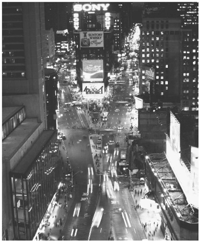 Times Square, called The Great White Way, is known for its neon, movie houses, theaters, stores, and crowds.