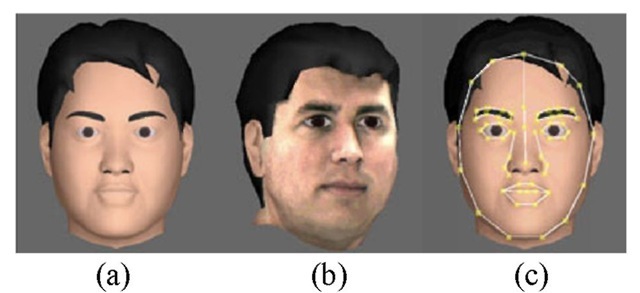 (a) Generic model in iFACE; (b) Personalized face model based on the Cyberware scanner data; (c) Feature points defined on a generic model for MU adaptation