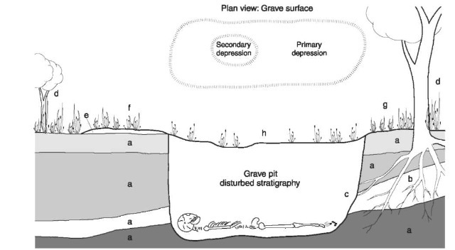 Indications of the presence of a grave, a, Undisturbed stratigraphy; b, undisturbed plant roots; c, disturbed plant roots; d, original undisturbed vegetation; e, upcast remaining on the surface; f, g, different vegetation in the area trampled and disturbed during the original excavation of the grave; h, new plant growth,