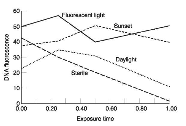 Plot of DNA concentration (flourescence) over time, after exposure to different light sources.