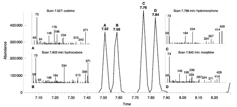 Total ion chromatogram (TIC) and mass spectra from (A) codeine-TMS; (B) hydrocodone-TMS; (C) hydromorphone-2TMS, and (D) morphine-2TMS. Almost baseline separation of the analytes are achieved using a HP-5MS 30m*0.25mm inner diameter column. Initial temp 150°C, ramped at 35°Cmin-1 to 260°C, then ramped at 5°Cmin-1 to 285°C. Incomplete silylation of hydrocodone and hydromorphone as their enols can further complicate the chromatogram.