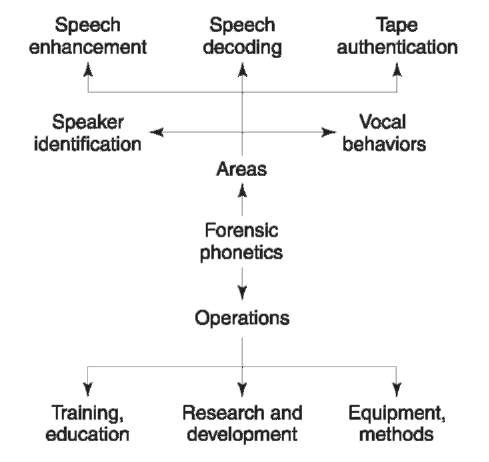 The nature and scope of forensic phonetics. The five content areas most basic to the specialty are listed in the upper third of the figure; the three major activities at the bottom. Not shown are any of the secondary or interface areas discussed in the text.