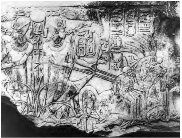 A limestone relief of Amenhotep III in his war chariot, discovered at Qurna.
