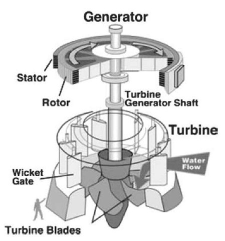 Hydroelectric turbine-generator. 