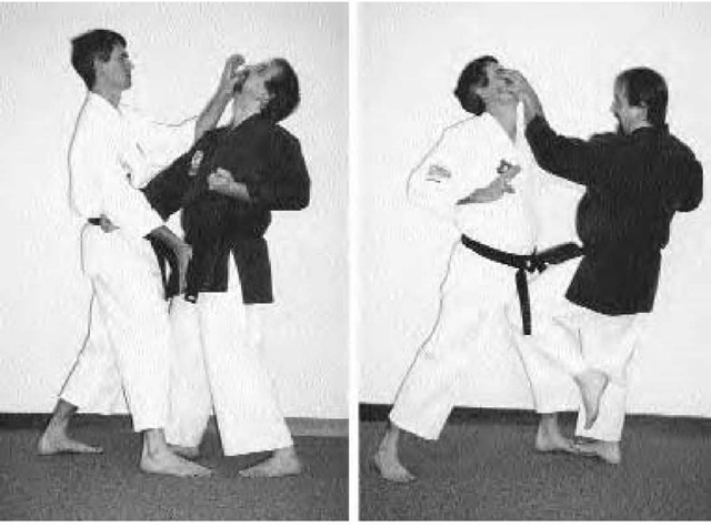 Karate Japanese Martial Arts