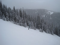 2010-03-20 10.16.41 3527.JPG Photo