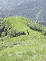 Summit ridge Photo
