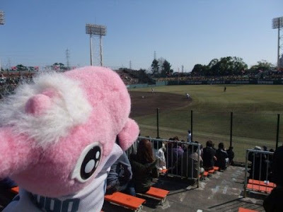 pao_20100311_03.JPG