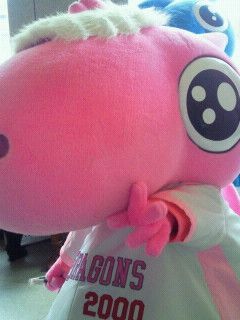 パオロン