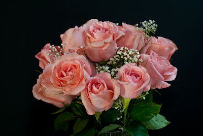 Roses