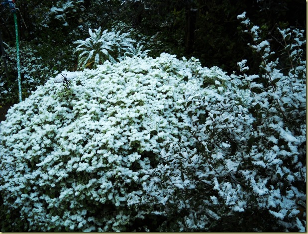DSCN0144 DSCN0144