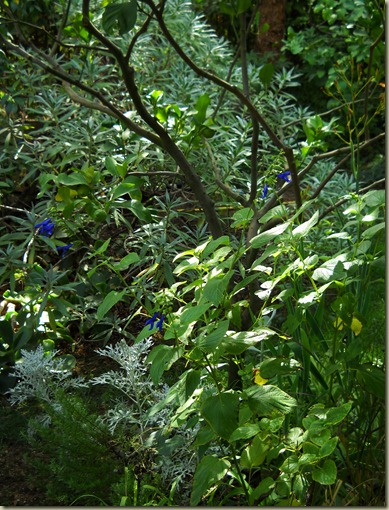 DSCN5059 DSCN5059
