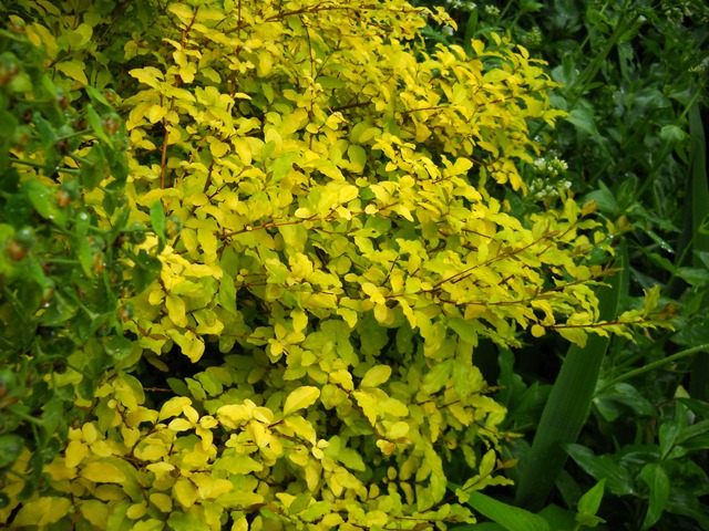 [DSCN19864.jpg]