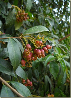 DSCN5658 DSCN5658
