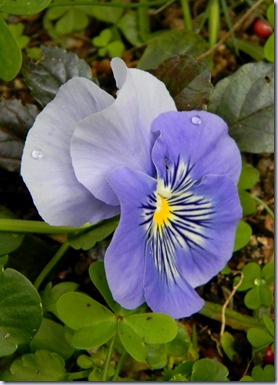DSCN3248 DSCN3248