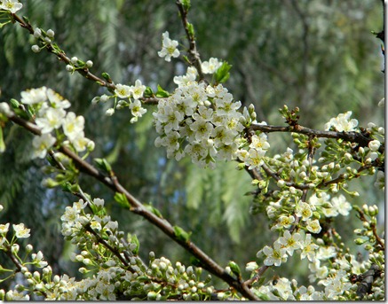 DSCN4611 DSCN4611