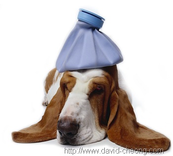 [sick-dog[2].jpg]