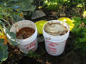 Stinky Fertilizer! Anaerobic organic material (about 1 week old) from a Vegan Restaurant