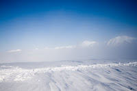 _MG_5232.jpg