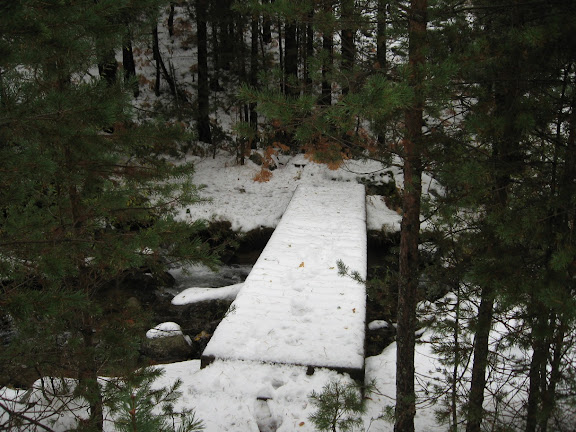 Puente Camino de la Angostura