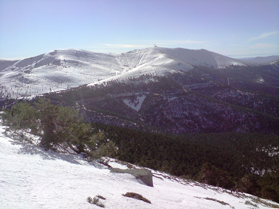 Valdesqui