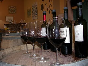 Mendoza capital city of argentinian wines