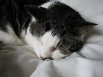 Tomsk in his usual attitude