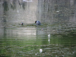 IMG_2857.JPG