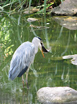 IMG_3411.JPG