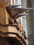 IMG_3331.JPG