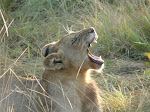P1020106.JPG