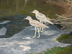 P1010656.JPG