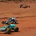 _MG_6548bMedium.jpg