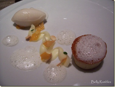 apricot brioche