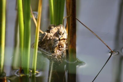 [IMG_6986_resize4.jpg]